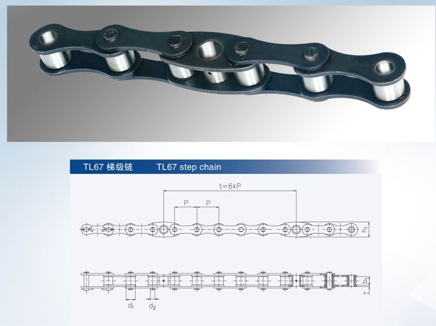 tl67梯級鏈1.jpg